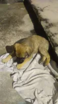Fiona