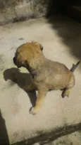Fiona