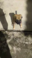 Fiona