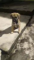 Fiona