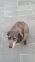 Cotoco