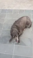 Cotoco