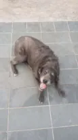 Cotoco