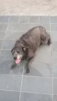 Cotoco