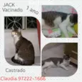 Jakc