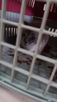 nao tem