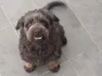 Lord