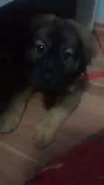 Doug