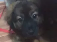 Doug