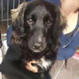 Marley