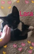 Lara Thor Marie