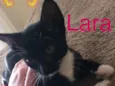 Lara Thor Marie