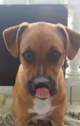 Spike