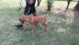 Spike