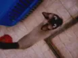Docinho