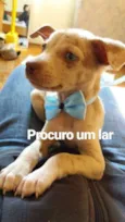 Sem nome