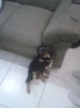 Valentina