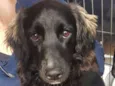 Marley