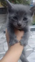 Kiara