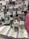 Minnie