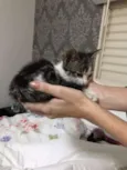 Minnie