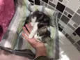 Minnie
