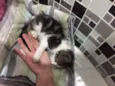 Minnie