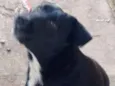 Meg