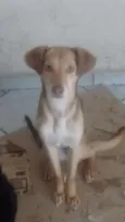 Tina