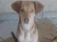 Tina
