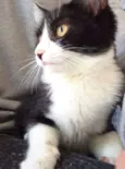 FILÓ