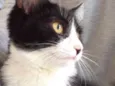 FILÓ