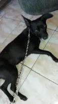 Neguinha 