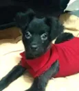 Tomás