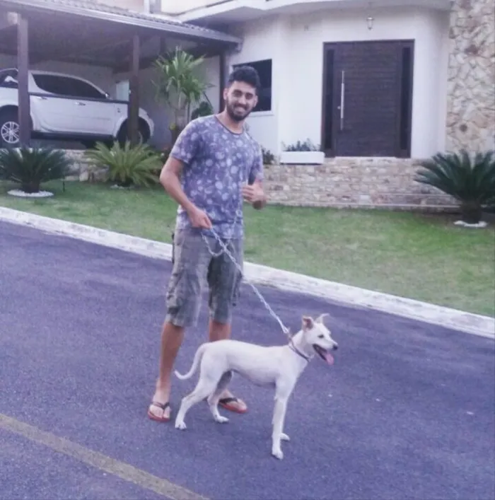 Cachorro raça  idade 6 ou mais anos nome Rosa
