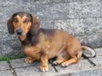 Charlie (Chachá)