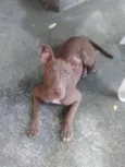 SAMANTHA 