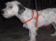 BEBEZÃO