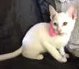 Nina