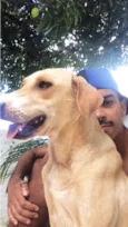 Nala e Bambi