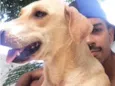 Nala e Bambi