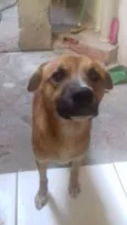 Não sei