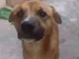 Não sei