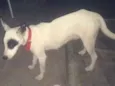 Mili