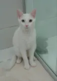 Lili
