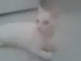 Lili