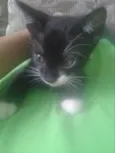Lili
