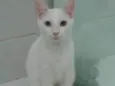 Lili