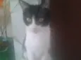 Lili
