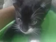 Lili